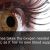 42 Interesting human body facts about the eye