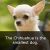 31 Weird animal facts about dogs