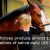 19 fun facts about horses