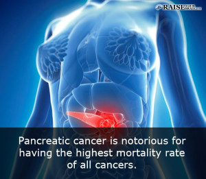 pancreas fact - Interesting Human body facts 9