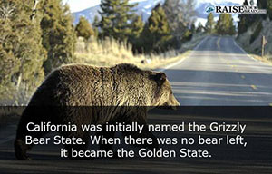 22 California fun facts you probably didn't know