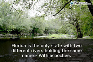 interesting facts about florida