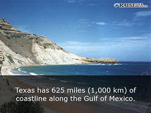 interesting facts about texas 1_13