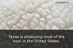 fun facts about texas 2_5