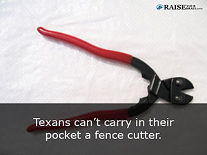 Law_in_texas_12