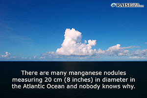 22 22 Random Interesting Facts That Will Fascinate You Raise Your Brain