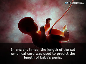 facts about babies 114